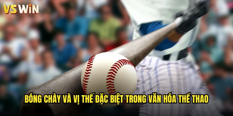 Bóng chày và vị thế đặc biệt trong văn hóa thể thao