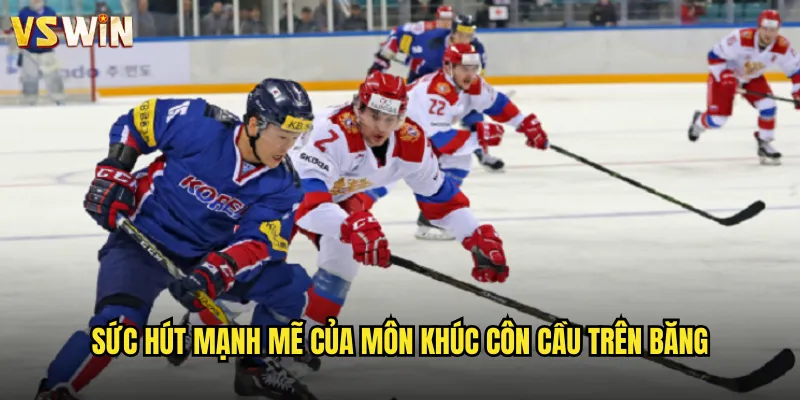 Sức hút mạnh mẽ của môn khúc côn cầu trên băng